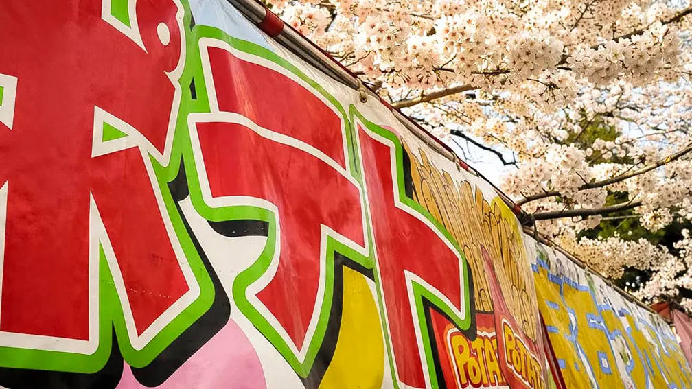 Road-trip moto Japon | Floaraison cerisiers Japon Air-Moto-Tours